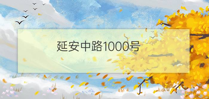 延安中路1000号