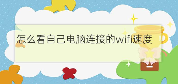 怎么看自己电脑连接的wifi速度