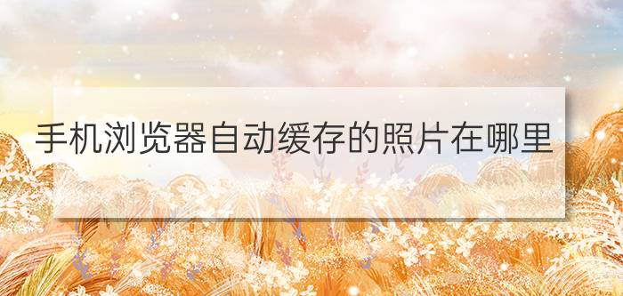 手机流量不够教你一招免费获得 各个运营商的免费流量在哪里找？