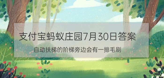 支付宝蚂蚁庄园7月30日答案：自动扶梯的阶梯旁边会有一排毛刷，这有