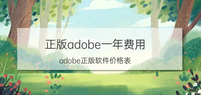 正版adobe一年费用(adobe正版软件价格表)