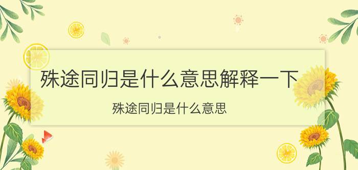 殊途同归是什么意思解释一下（殊途同归是什么意思）