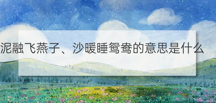 泥融飞燕子、沙暖睡鸳鸯的意思是什么