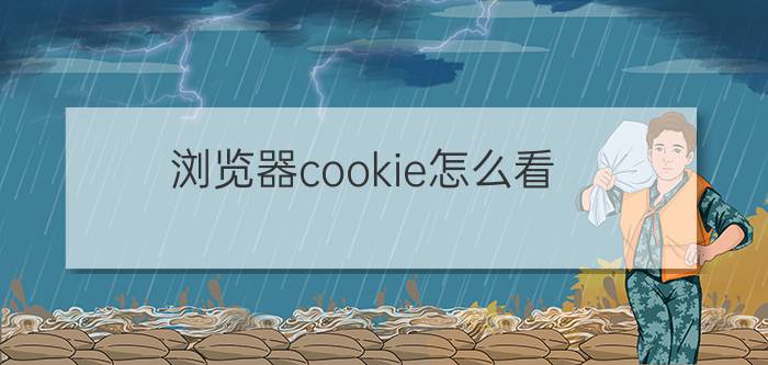 浏览器cookie怎么看