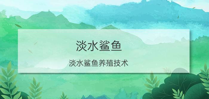 淡水鲨鱼（淡水鲨鱼养殖技术）