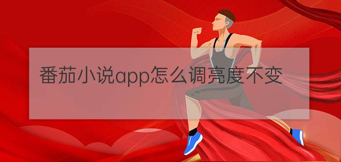 番茄小说app怎么调亮度不变