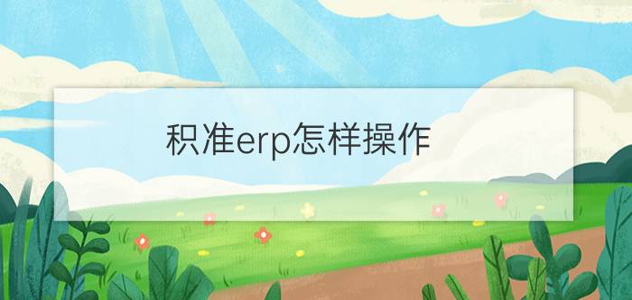 积准erp怎样操作