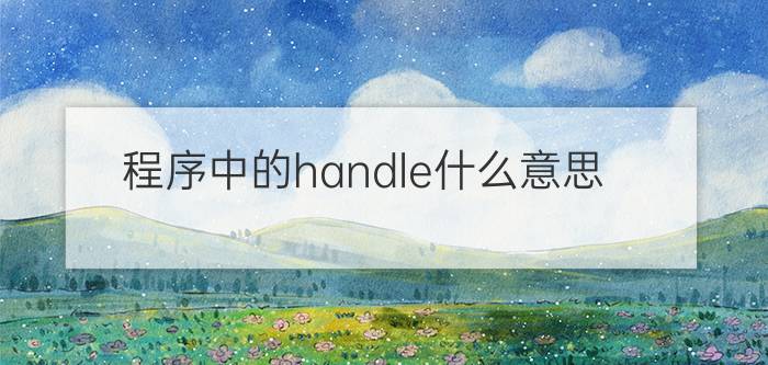 程序中的handle什么意思