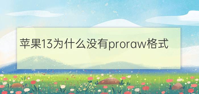 苹果13为什么没有proraw格式