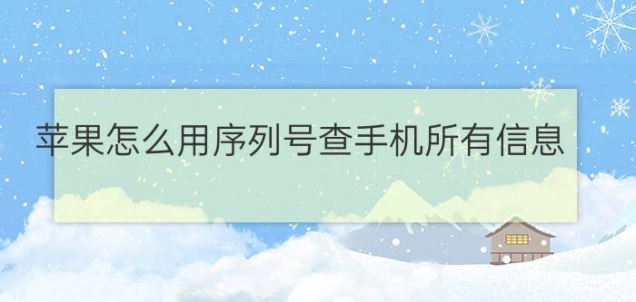 苹果怎么用序列号查手机所有信息