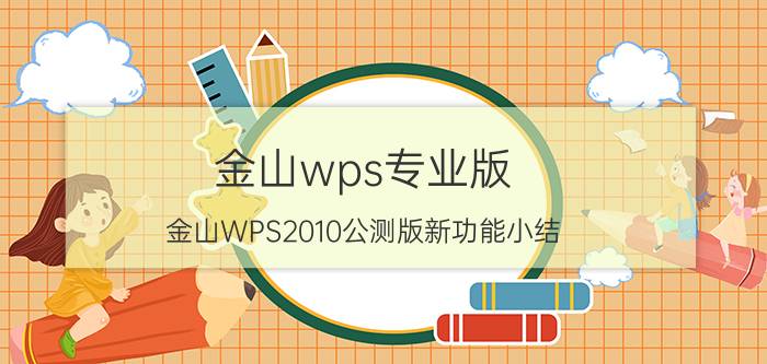 金山wps专业版（金山WPS2010公测版新功能小结）