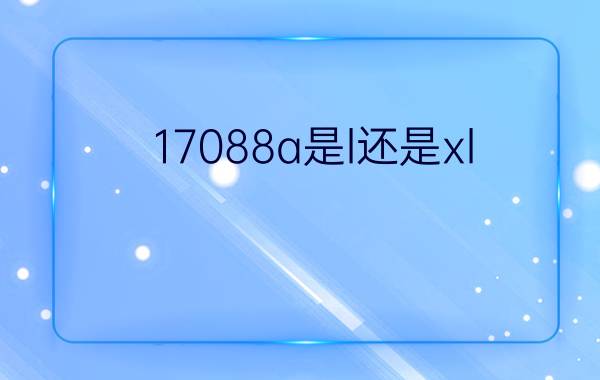 17088a是l还是xl