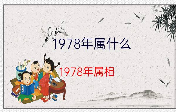 1978年属什么,1978年属相