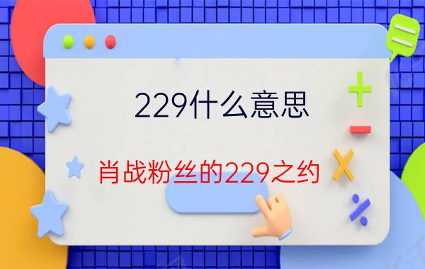 229什么意思（肖战粉丝的229之约）