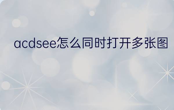 acdsee怎么同时打开多张图