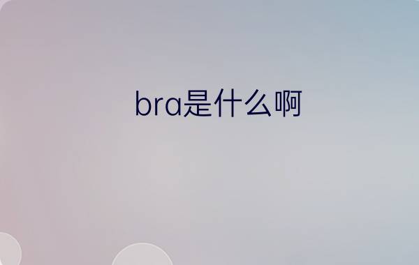 bra是什么啊?