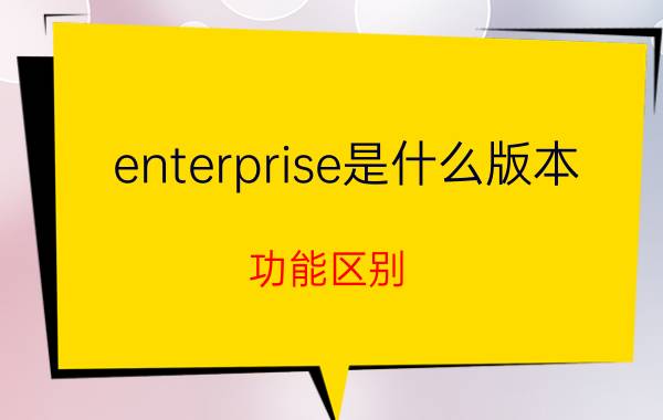 enterprise是什么版本（功能区别）