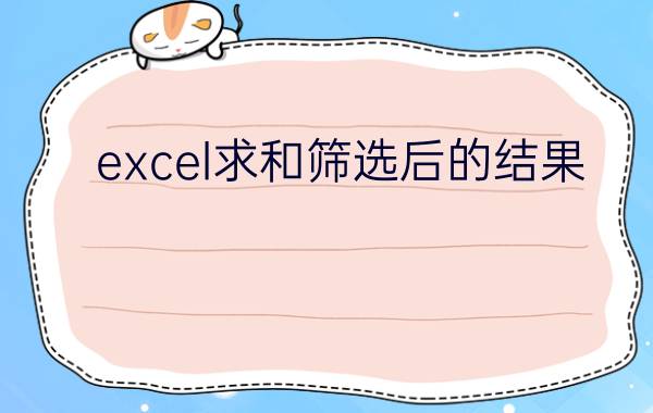 excel求和筛选后的结果