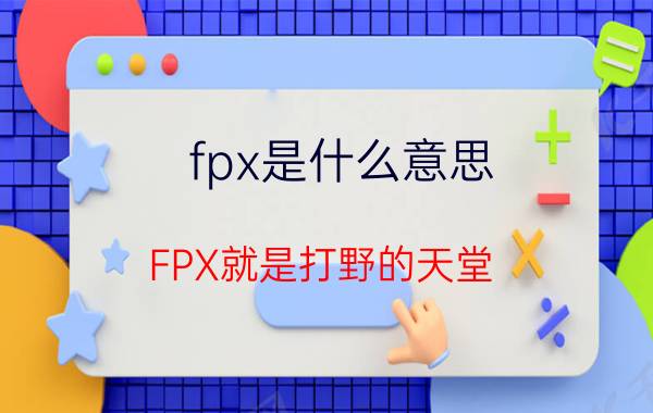 fpx是什么意思（FPX就是打野的天堂）