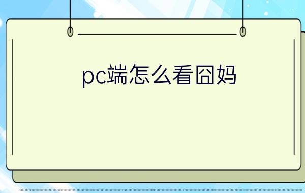 pc端怎么看囧妈