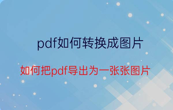 pdf如何转换成图片(如何把pdf导出为一张张图片)