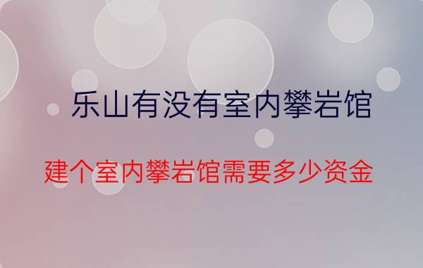 乐山有没有室内攀岩馆(建个室内攀岩馆需要多少资金？)