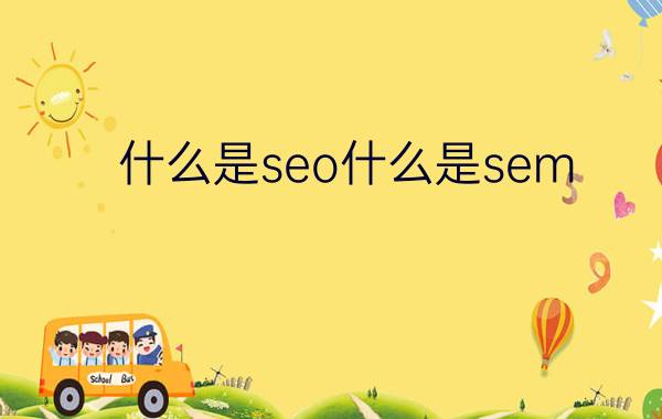 什么是seo(什么是seo)