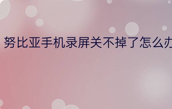 努比亚手机录屏关不掉了怎么办