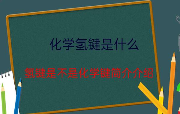 化学氢键是什么（氢键是不是化学键简介介绍）