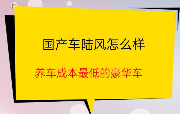 国产车陆风怎么样（养车成本最低的豪华车）