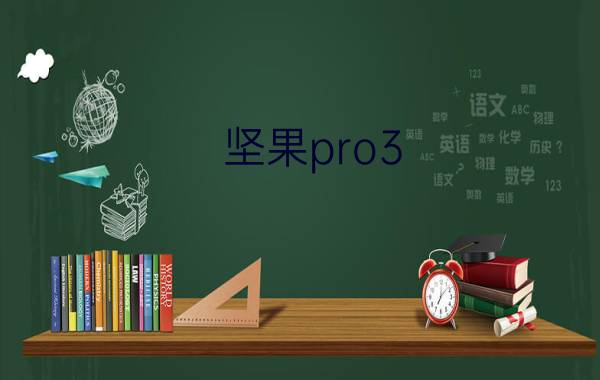 坚果pro3