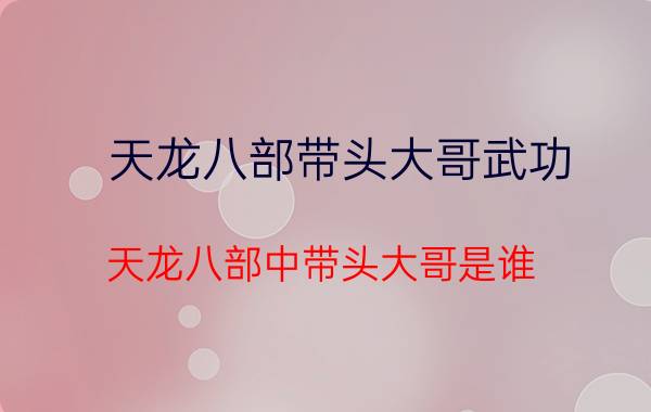 天龙八部带头大哥武功,天龙八部中带头大哥是谁？