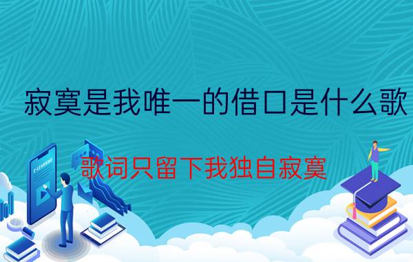 寂寞是我唯一的借口是什么歌（歌词只留下我独自寂寞）