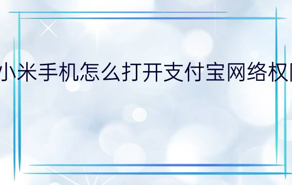 小米手机怎么打开支付宝网络权限