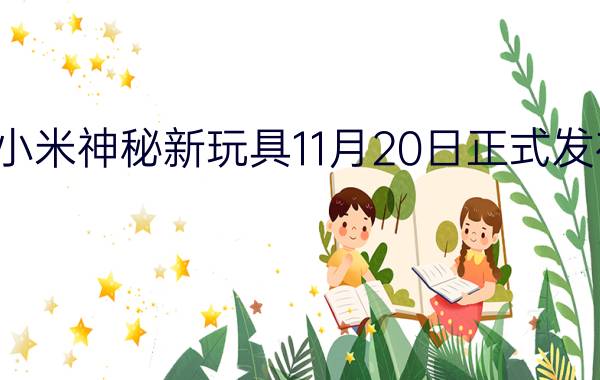 小米神秘新玩具11月20日正式发布