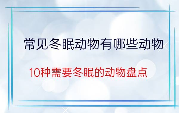 常见冬眠动物有哪些动物，10种需要冬眠的动物盘点