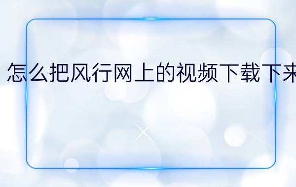 怎么把风行网上的视频下载下来