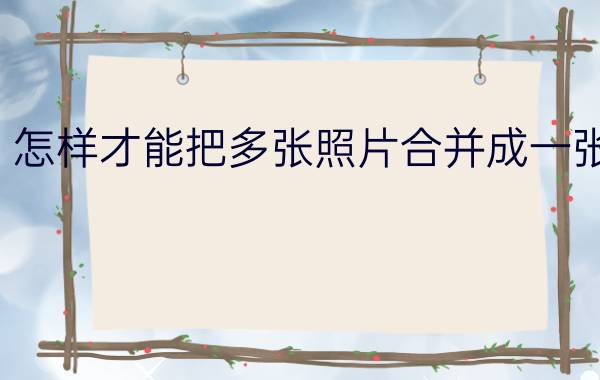 怎样才能把多张照片合并成一张