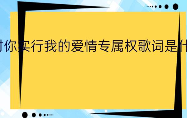 我要对你实行我的爱情专属权歌词是什么意思