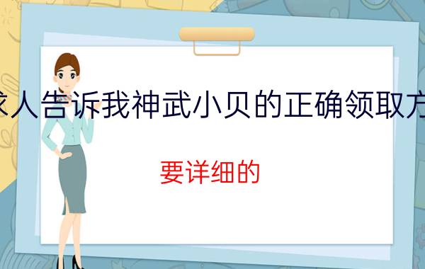 求人告诉我神武小贝的正确领取方式（要详细的）