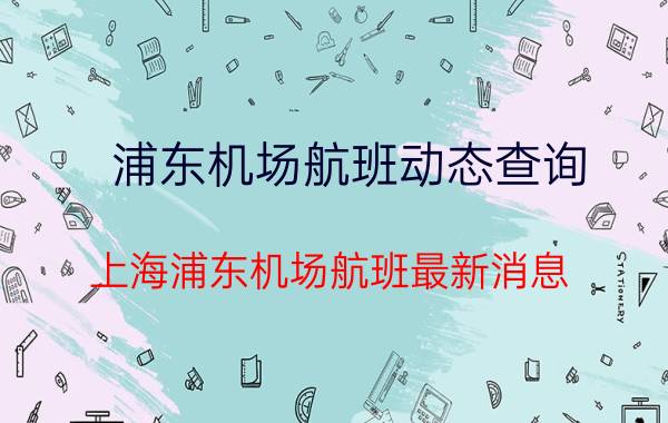 浦东机场航班动态查询（上海浦东机场航班最新消息）