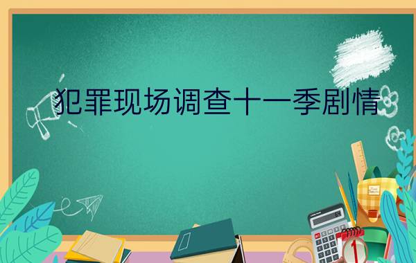 犯罪现场调查十一季剧情