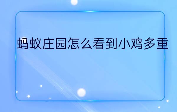 蚂蚁庄园怎么看到小鸡多重