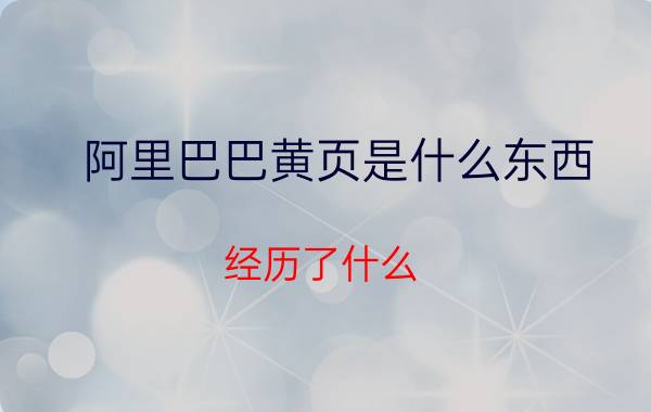 阿里巴巴黄页是什么东西？经历了什么？