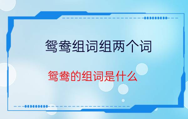 鸳鸯组词组两个词（鸳鸯的组词是什么）