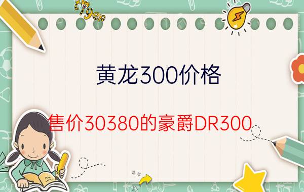 黄龙300价格（售价30380的豪爵DR300）