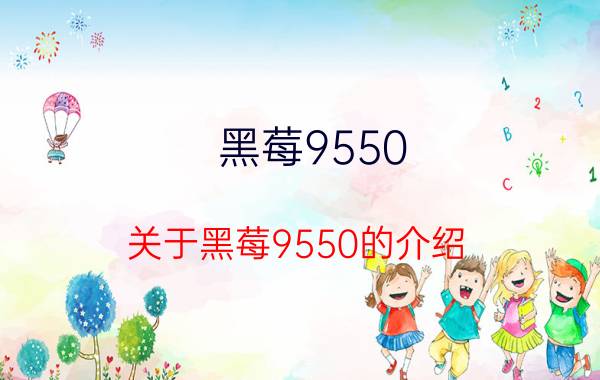 黑莓9550（关于黑莓9550的介绍）