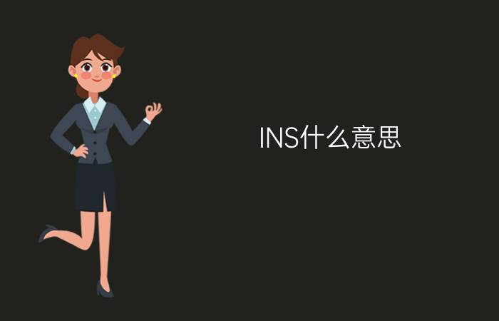 INS什么意思