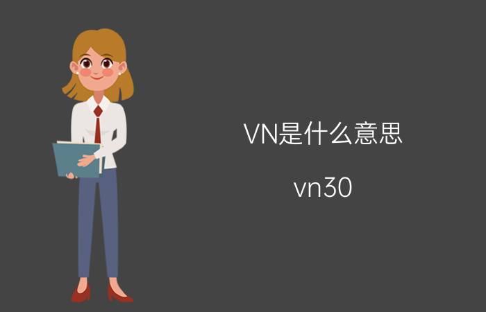 VN是什么意思（vn30）