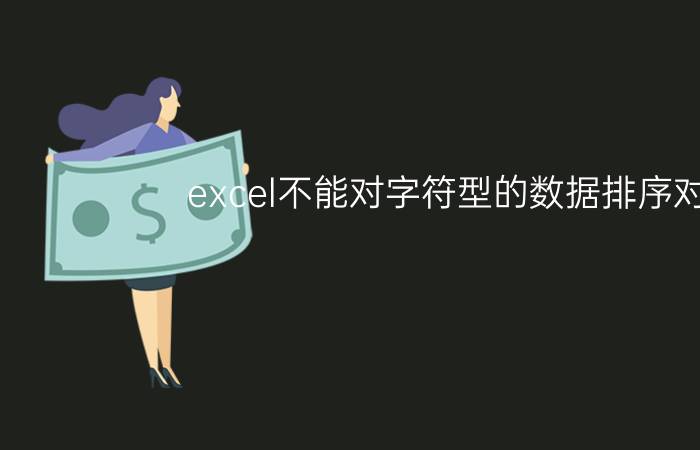 excel不能对字符型的数据排序对吗